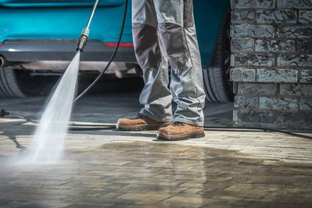 Best Roof Washing  in Pantego, TX