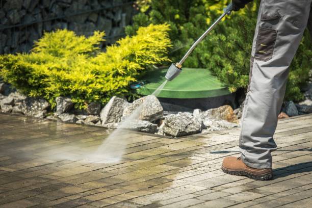 Best Boat and Dock Cleaning  in Pantego, TX